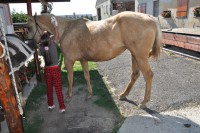 /album/fotogaleria-sluzby/a311511-10151071953044043-1195902260-n-jpg/