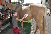 /album/fotogaleria-sluzby/a553449-10151071952574043-888111569-n-jpg/