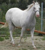 /album/looks-like-a-boon/a262014-1811923386440-5560993-n-jpg/